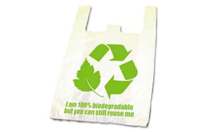 Reusable bag